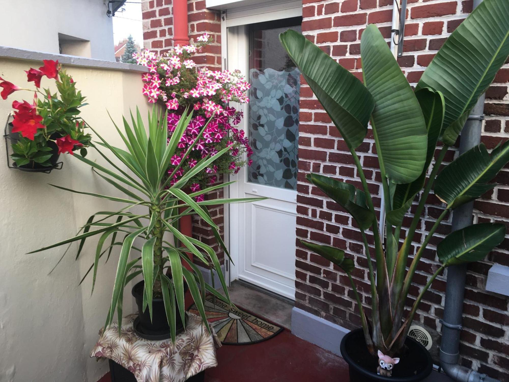 Chez Armelle Apartment Hesdin Luaran gambar